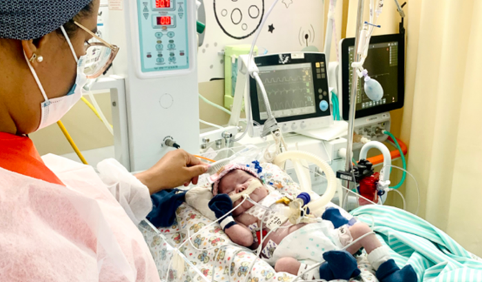 Todos com Lara Rafaely