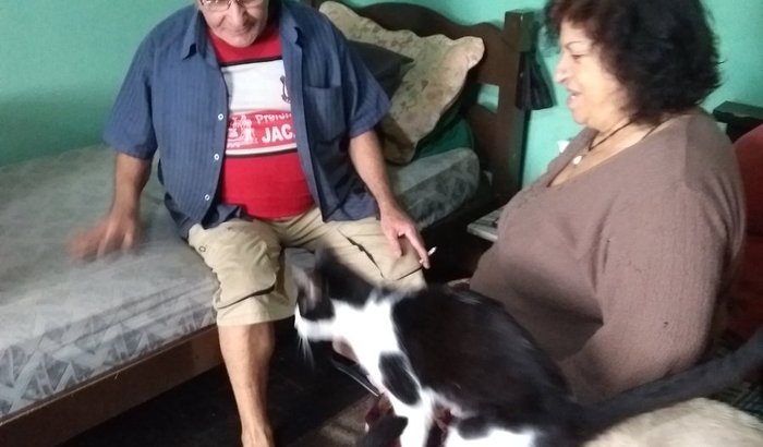 Ração para os 67 gatos da D. Terezinha