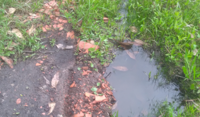 Ajuda para o aterro do meu pátio