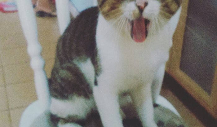 Salvem meu Bebê :(