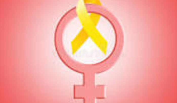 Cirurgia Endometriose Isabella Lobão