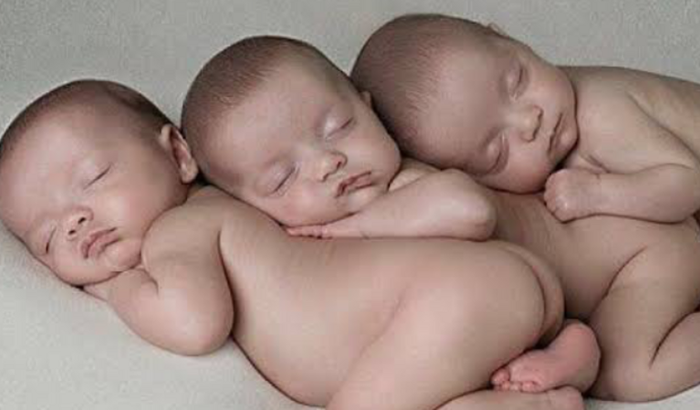 Bebês da nossa amiga Kátia