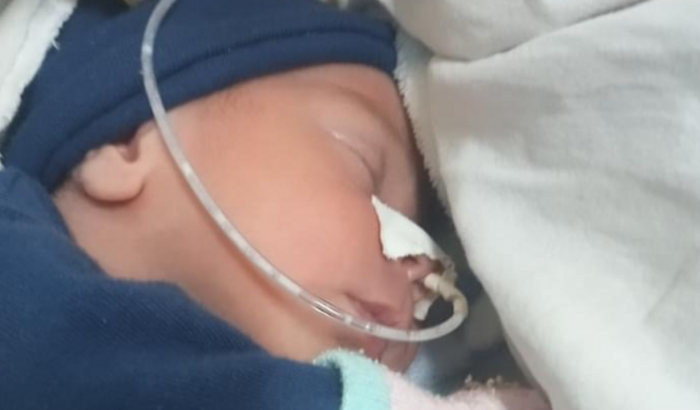 Ajude o Otávio a se alimentar 