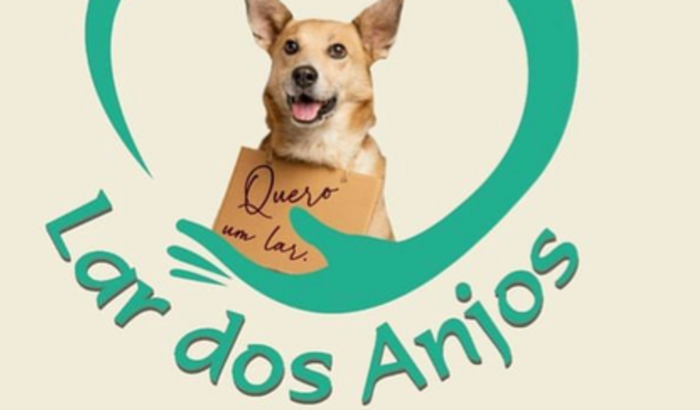 Ajudar o Lar dos Anjos Pet