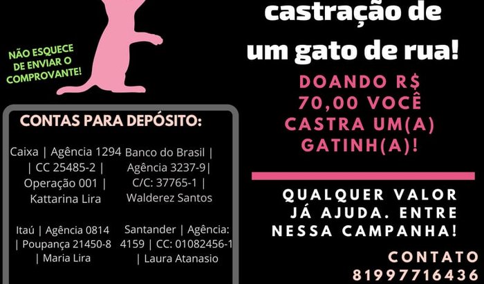 APADRINHE A CASTRAÇÃO DE UM GATO DE RUA!