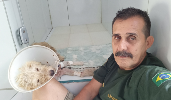 Cirurgia de amputação dele