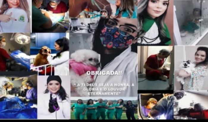 Por vidas de aconchego 