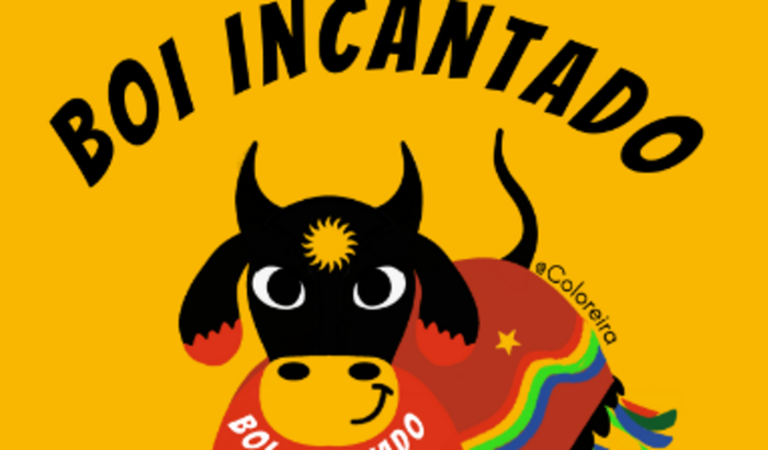 Projeto Solte o Boi Na Rua 