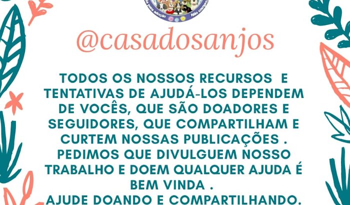 Castração de animais carentes 