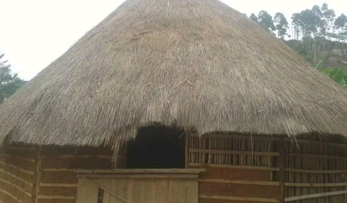 Pra construir casa de cultura tupi-guarani 
