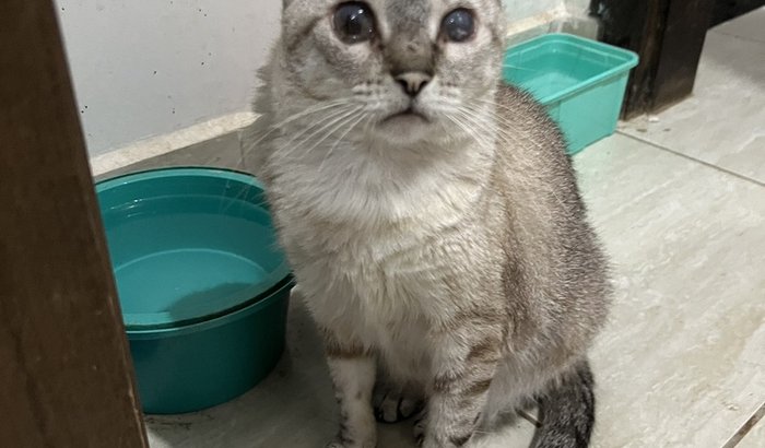 Nós ajude a quitar a dívida na clínica Petway 