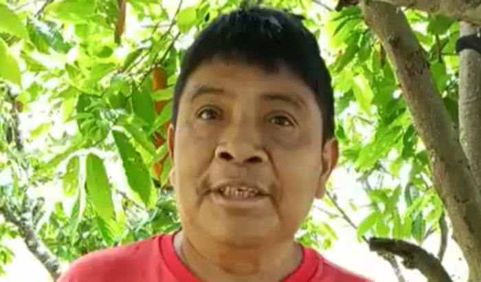Roçadeira para Makor cuidar do cacau