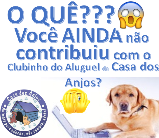 Aluguel sede 1 - Agosto