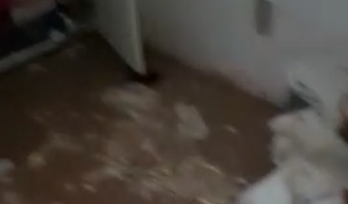 Ajuda para casa da Maria Eduarda