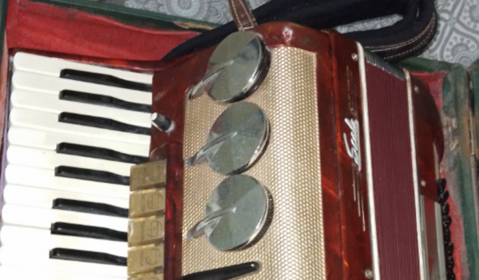 AJUDA PRA COMPRAR UM ACORDEON PROFISSIONAL 