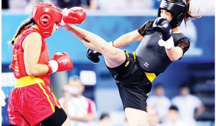 Campeonato Brasileiro de Wushu Sanda 