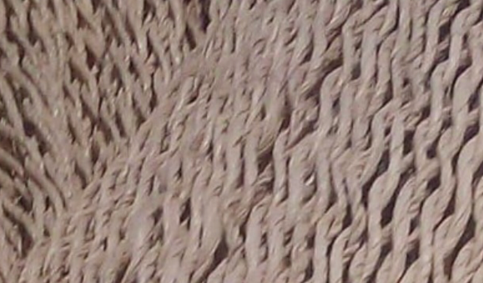 Aluguel e comida no natal pra família indígena refugiada 