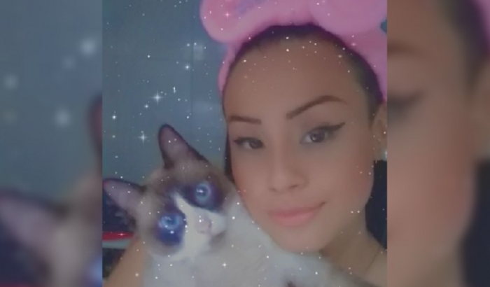 Vaquinha para trabalhar