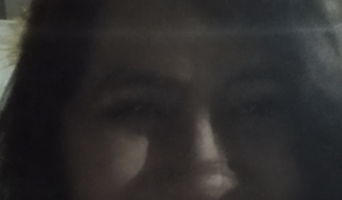 De volta pra terrinha 