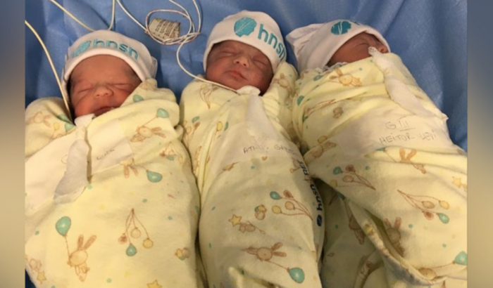 Leite para trigêmeos 