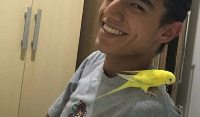 João Pedro