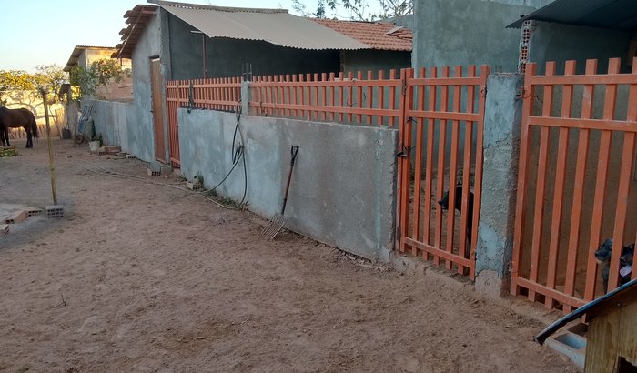 Concretar os Canis dos Cães.