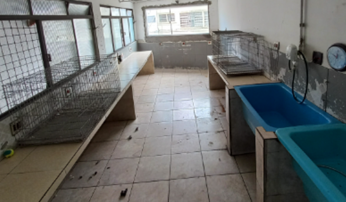 Reforma dos meus sonhos meu  banho e tosa