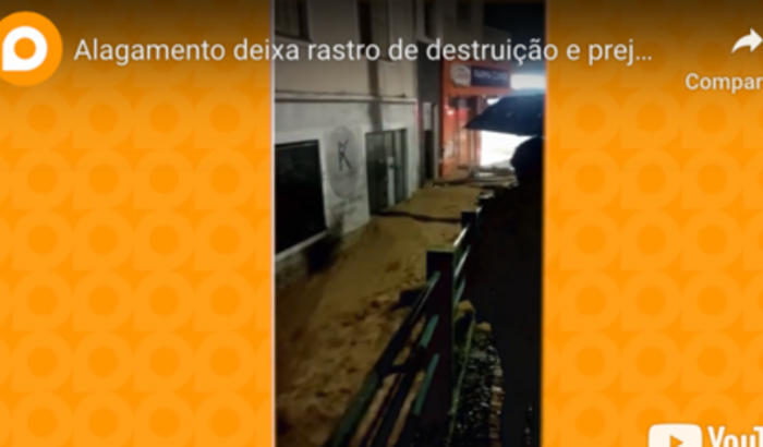 Ajude estúdio Kali 9 Concept se reerguer após enchente