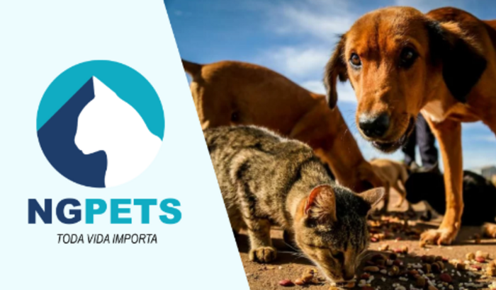 Animais abandonados e maltratados