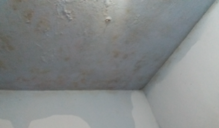 Pra entelhar toda a laje da minha casa e reformar minha casa tbm