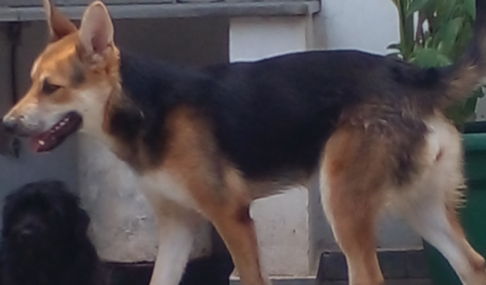 Ajuda moradores de rua  