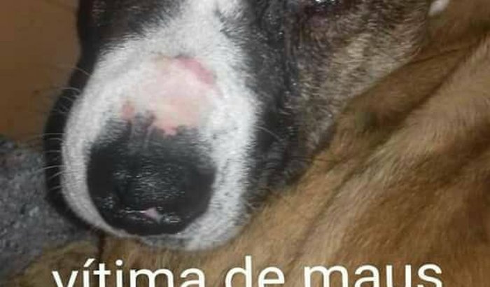 Ajuda ao Billy