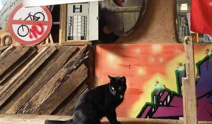 AJUDE A PRETA 
