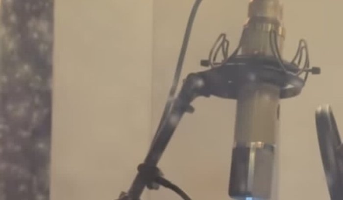 artista independente