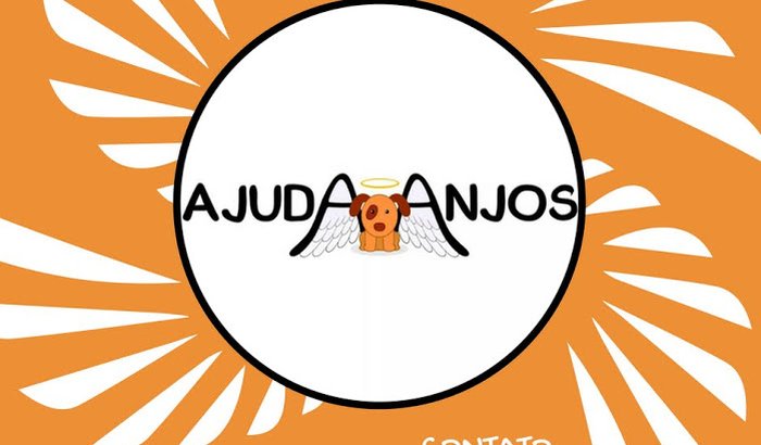 Ajuda Anjos Salto SP