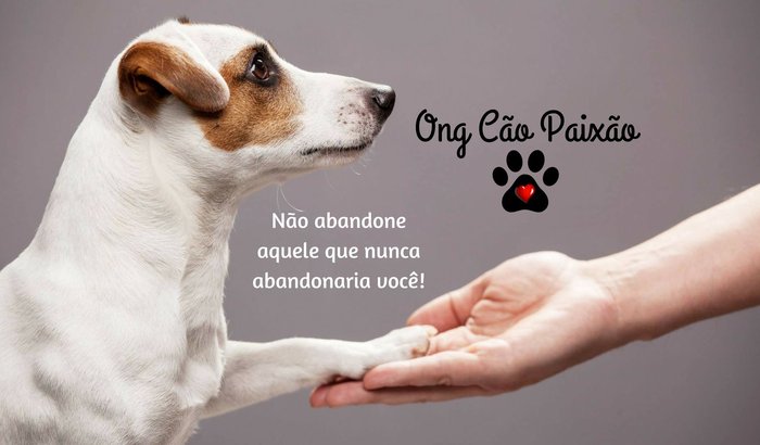 ONG CÃO PAIXÃO