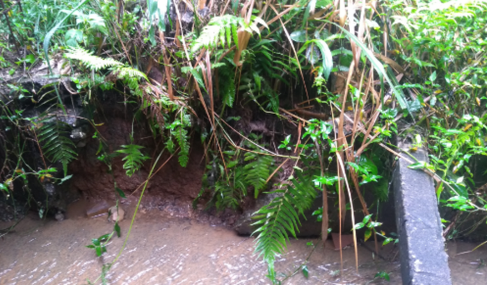 Preciso fazer 2 muros um deles é pra contenção de terra, tá desbarrancando muito,  