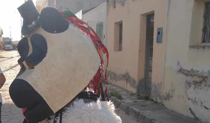 A La Ursa quer dinheiro 💰💰💰