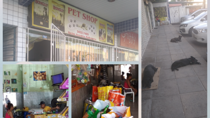 SOS Lia Cuidadora dos Anjos de 4 Patas