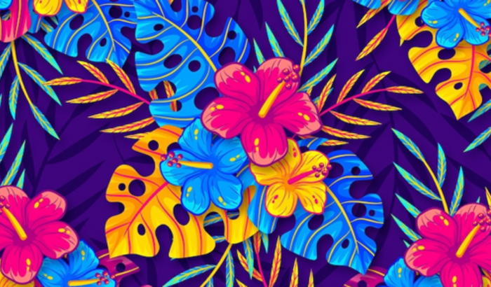 Vakinha para o Aniversário da Vivi