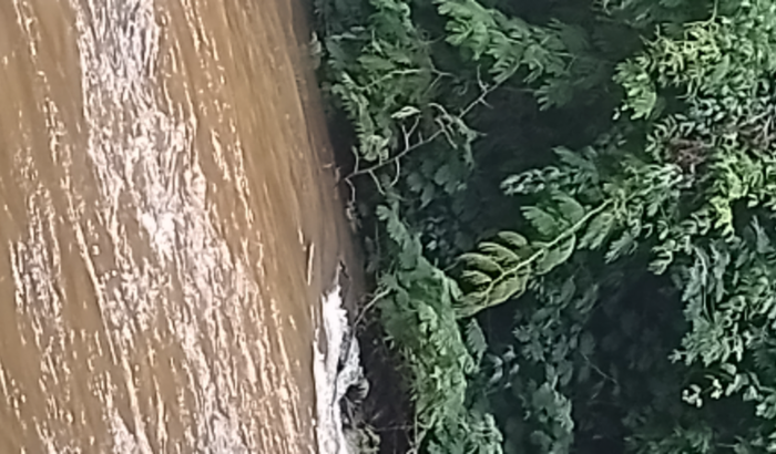 SOS naturesa