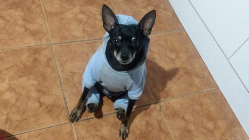 Exames e cirurgia do Giba