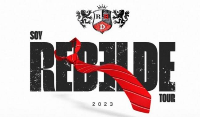 Realize meu sonho de ir ao show do RBD