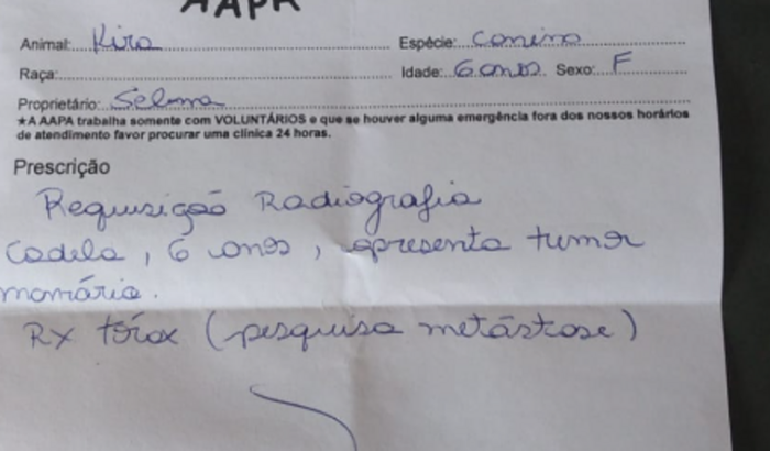 Ajude a Kira 