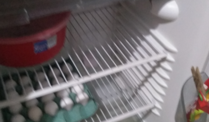 Preciso pagar meu aluguel atrasado estou desempregada 