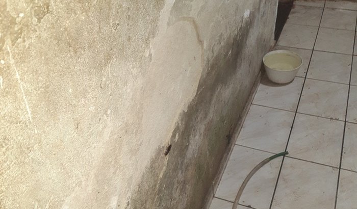 Eu preciso muito ajudar minha avó para formar a casa dela