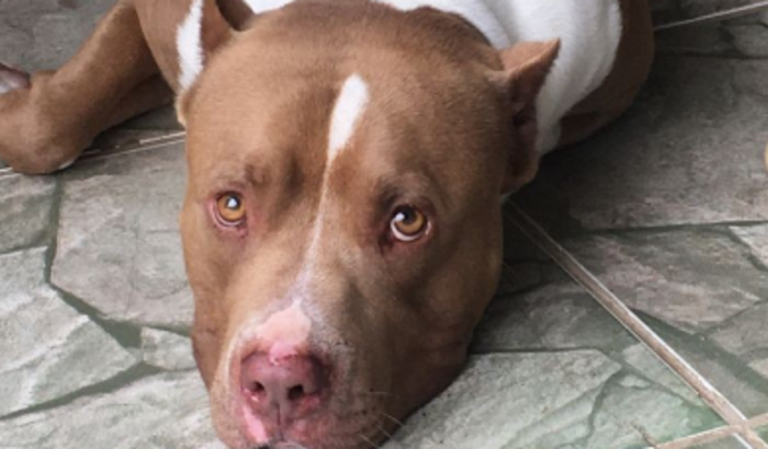 Ajuda para o tratamento do spyke