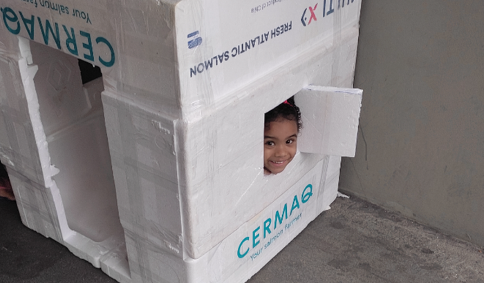 Comprar uma cama para minha filhinha de 4 aninhos
