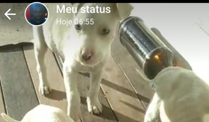 Ação entre amigos.