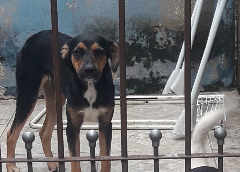 Um Amigão precisa de ajuda